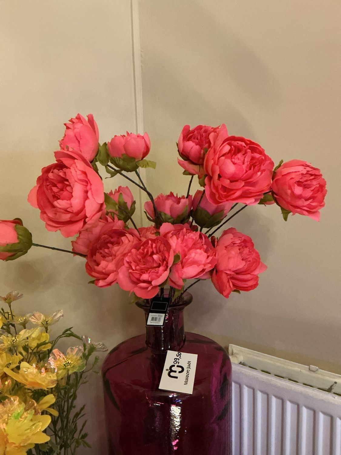 826330 bloem Beau peaonia Roos