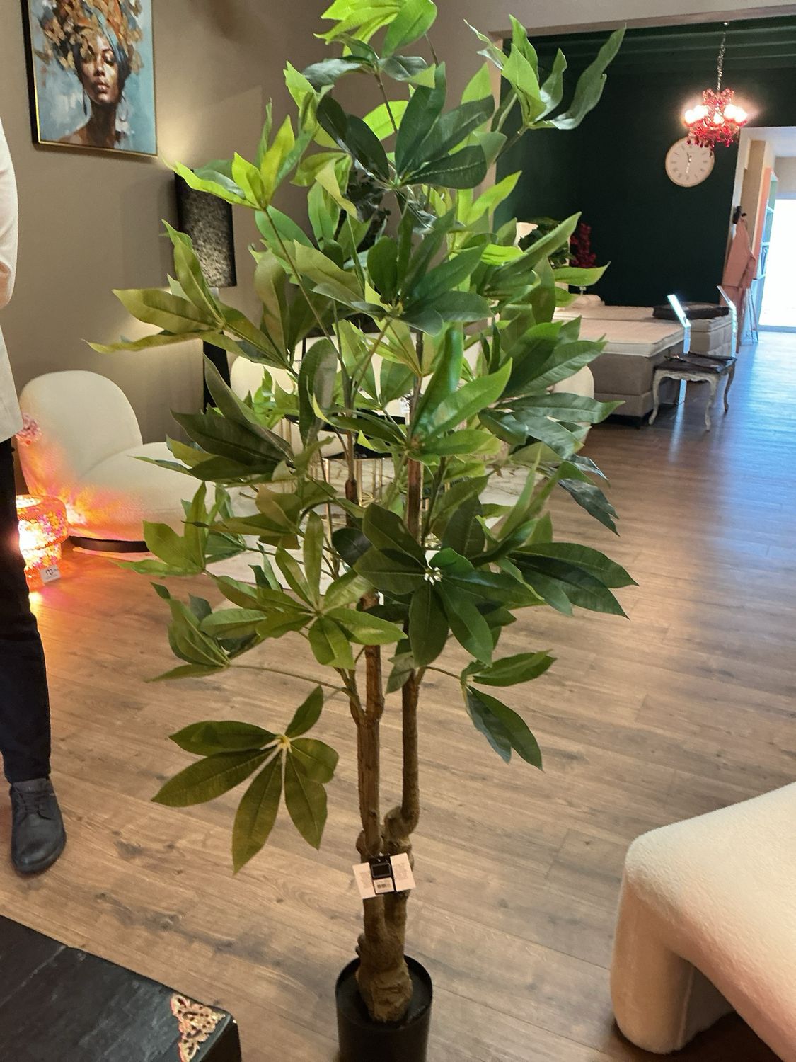 Plant