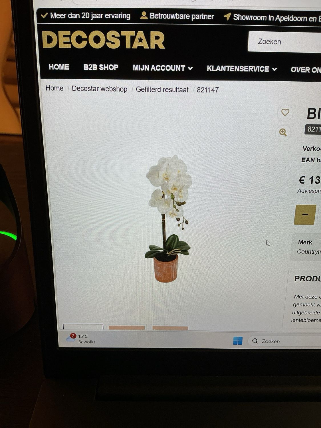 821147 orchidee wit in pot