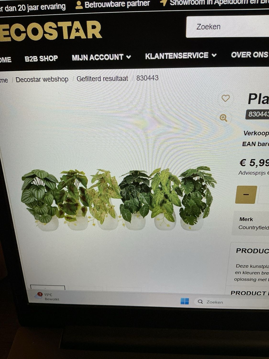 830443 plant hanger mix groen