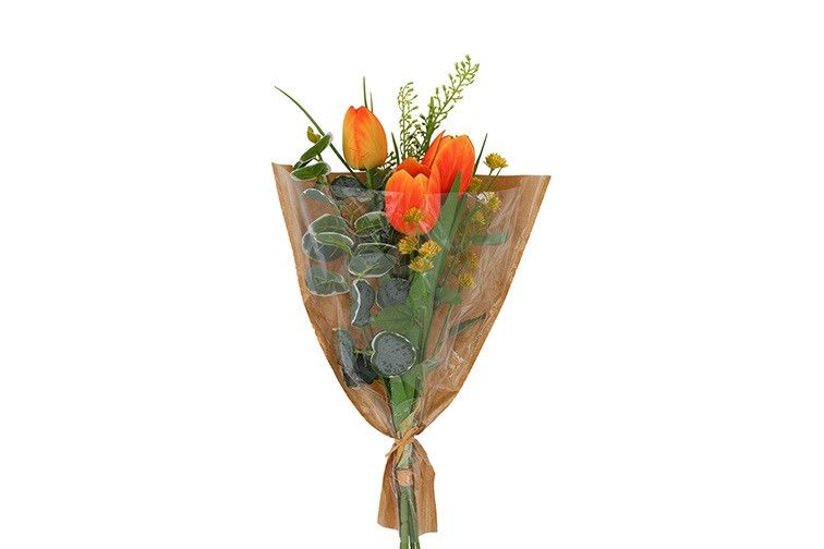 Bouquet of Orange Tulips Tulipa