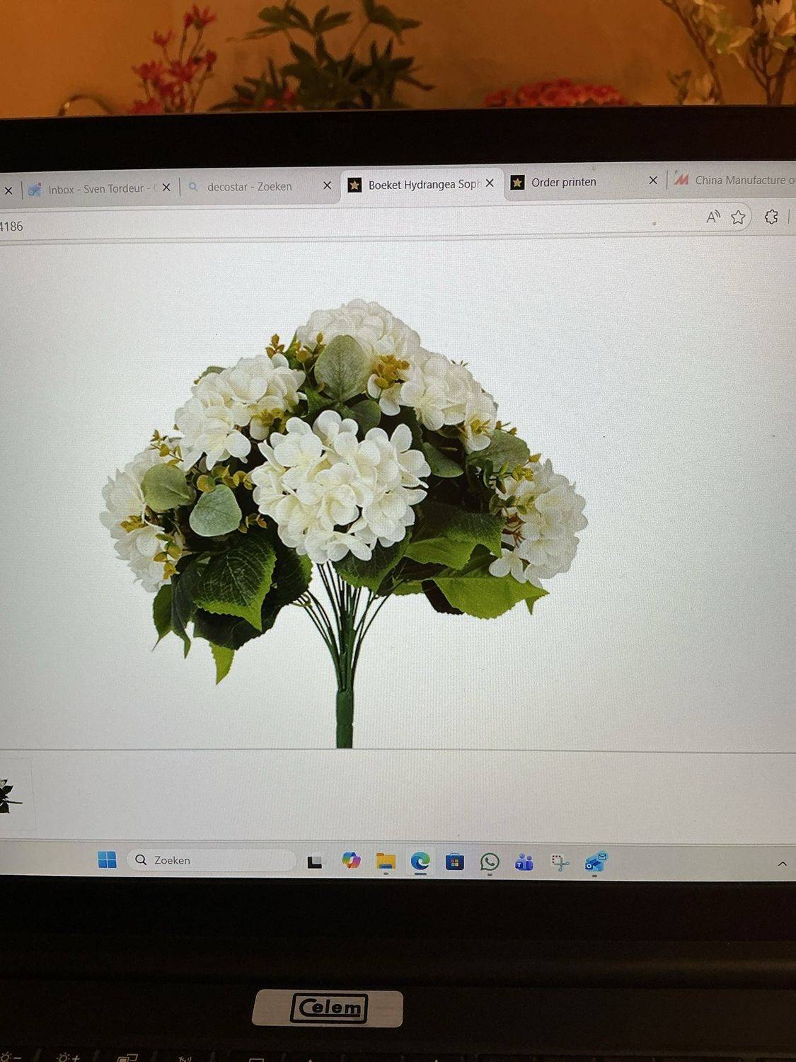 834186 boeket hydrangea sopho wit