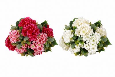Hydrangea Sopho Bouquet