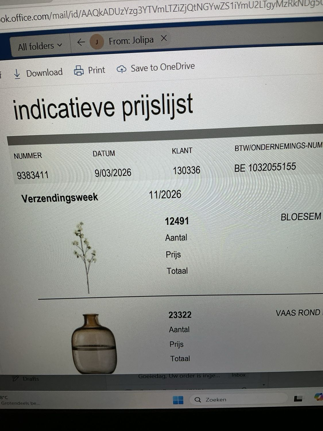 12491 bloesem wit/bruin L