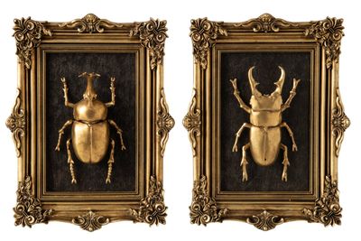 Wall object Insect Polyresin Gold set of 2