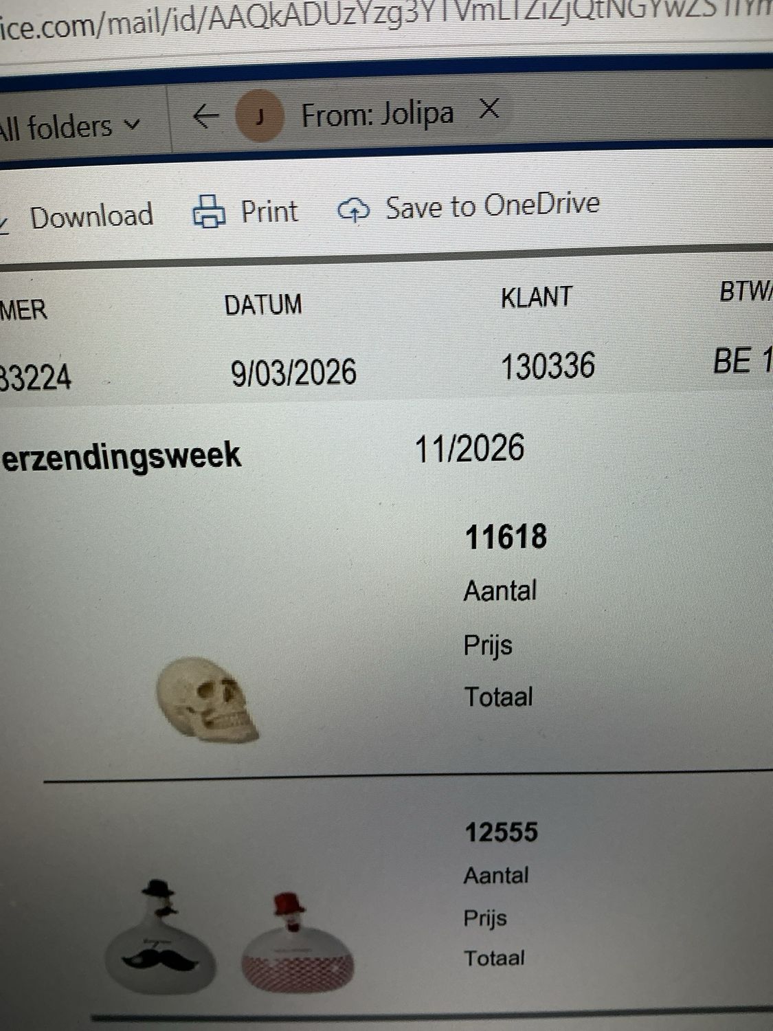11618 Skull hoofd S