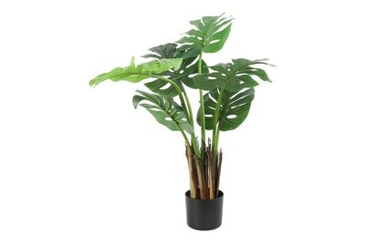 Monstera S Plant Green Monstera S Plant Green