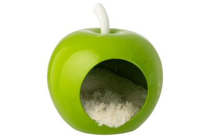 Kattenmand appel