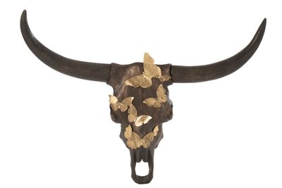 Skull os butterfly