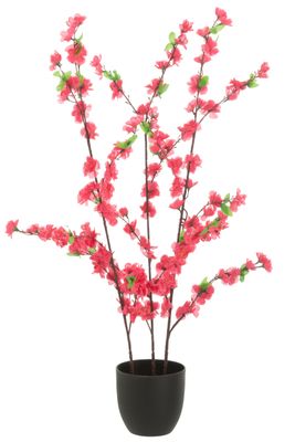 Peach Blossom Red Peach Blossom Red