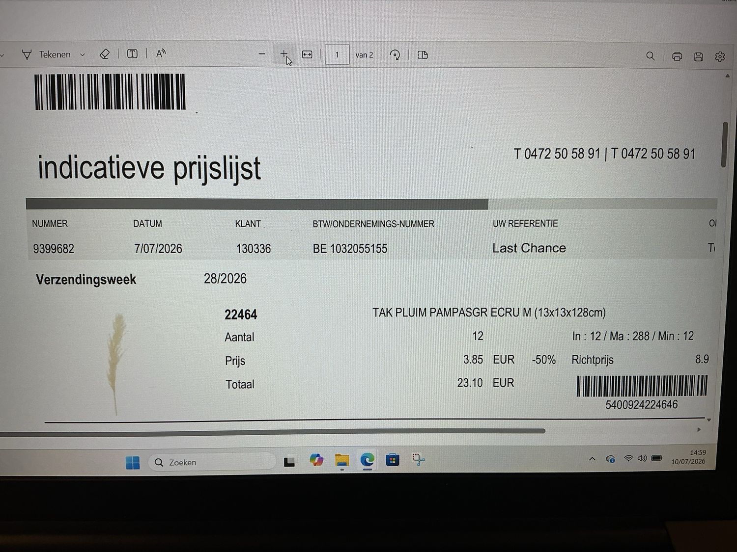 22464 Tak pluim pampasgr ecru M 128h