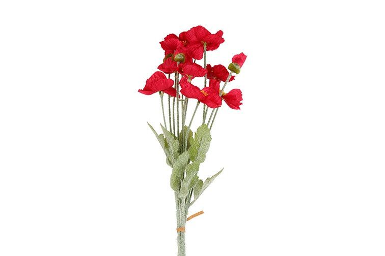 Bloem bundel papaver Bloem bundel papaver