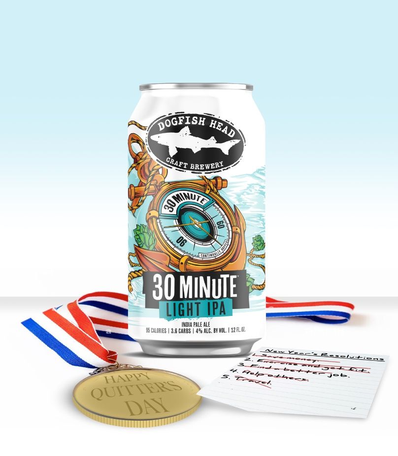 DOGFISH 30MIN IPA 12PK CAN