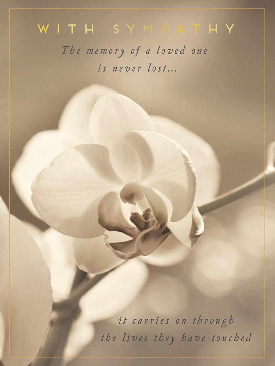 WITH SYMPATHY THE MEMORY OF A LOVED ONE