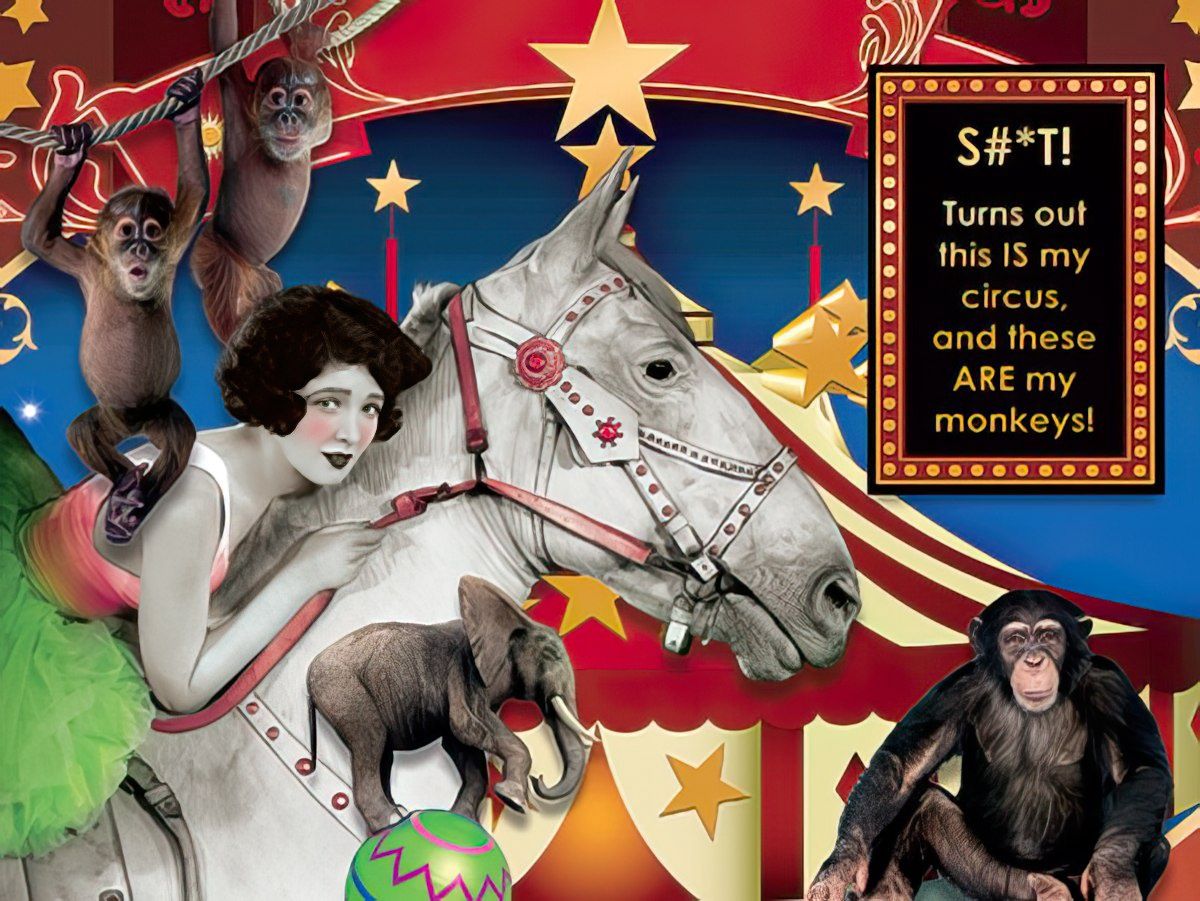 Sh*t Turns out this IS my circus, and these ARE my monkeys!