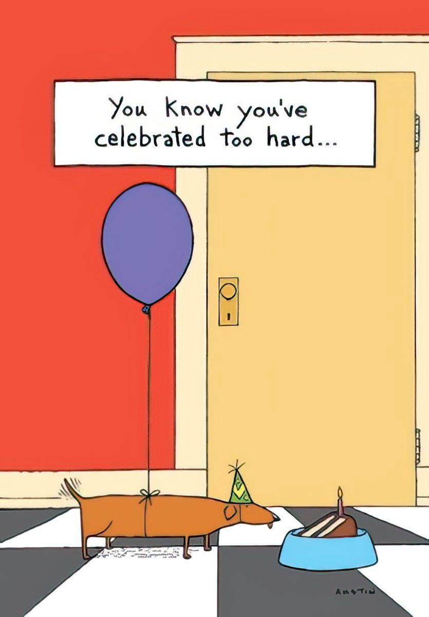 You know you've celebrated too hard....