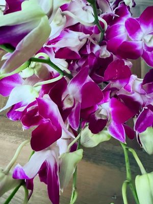 Congrats - Thanks Blooms