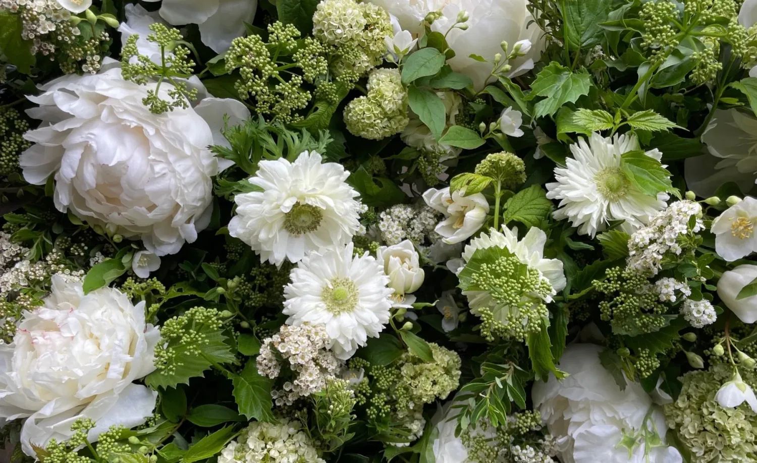 The Bach Flower Co.'s "White Designer's Choice"