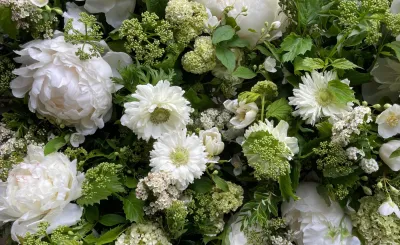 The Bach Flower Co.'s "White Designer's Choice"