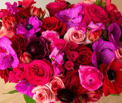 The Bach Flower Co.'s "Hot Hot Hot Designer's Choice"