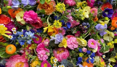 The Bach Flower Co.'s "Garden Designer's Choice"