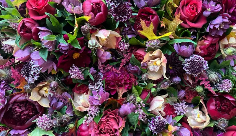 The Bach Flower Co.'s "Jewel Designer's Choice"