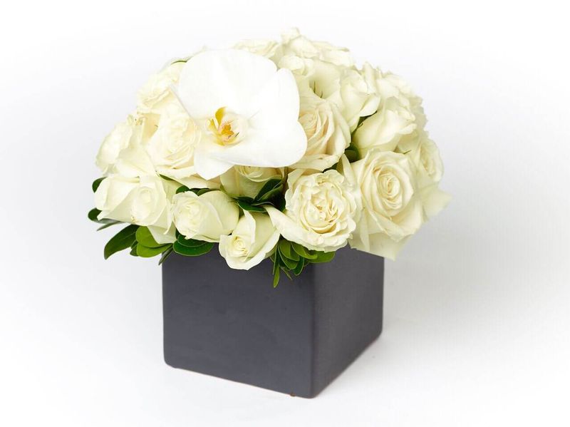 The Bach Flower Co.'s "Phrose"