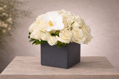 Phrose™ – Soft Rose &amp; Orchid Luxury Arrangement - Rhode Island flower delivery