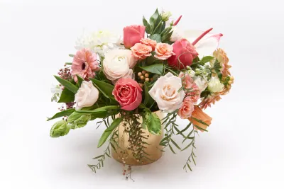 The Bach Flower Co.'s "Above"