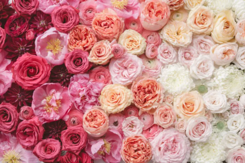 The Bach Flower Co.'s "Valentine's Designer's Choice"