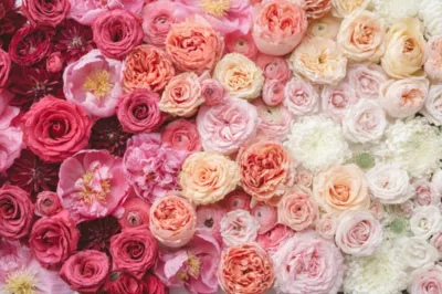 The Bach Flower Co.'s "Valentine's Designer's Choice"