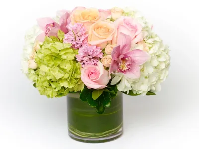 The Bach Flower Co.'s "Surebit"