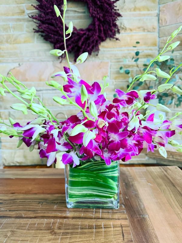 The Bach Flower Co.'s "Awwkidd"