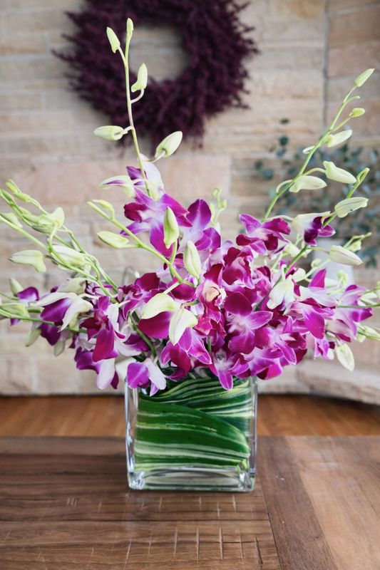 The Bach Flower Co.'s "Awwkidd"