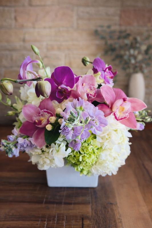 The Bach Flower Co.'s "Amita"