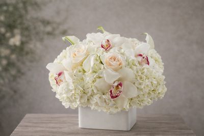 Cymbrosia™ – Hydrangea - Cymbidium Luxury Arrangement - Rhode Island flower delivery