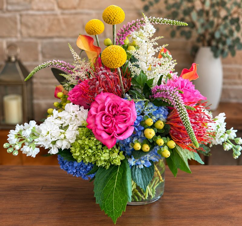 Stafford™ – Garden Composition