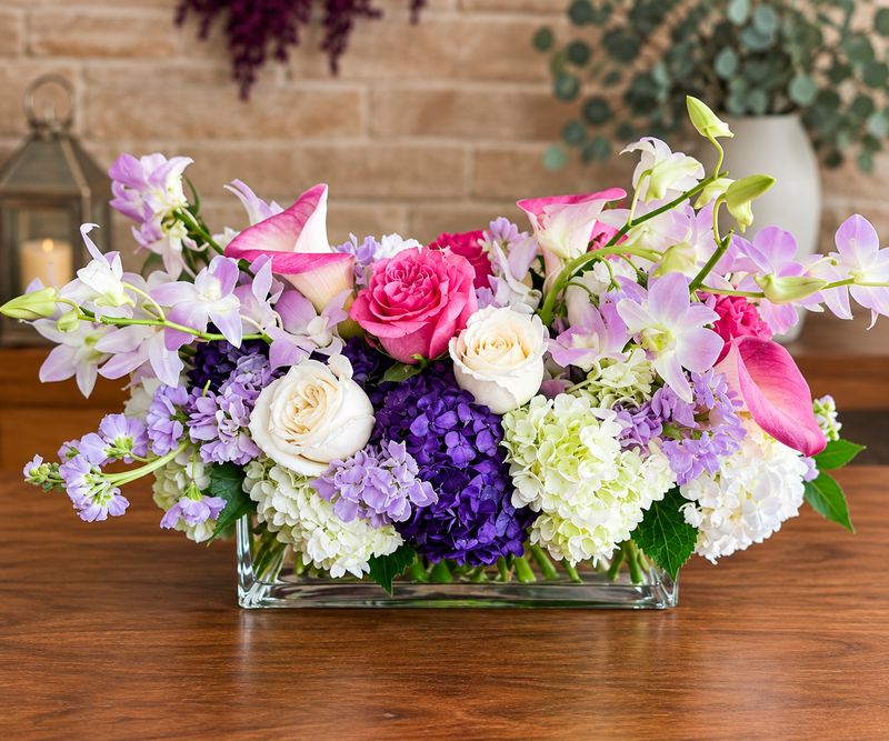 Violette™ – Garden Composition