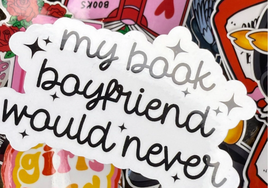 My Book Boyfriend Would Never