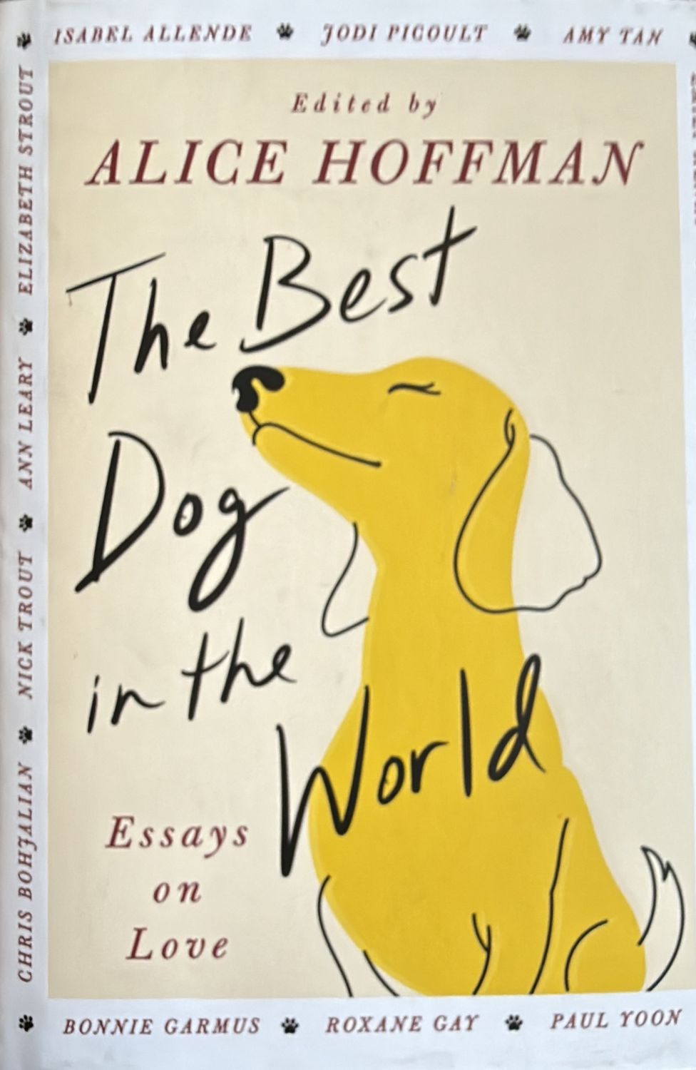 The Best Dog in the World