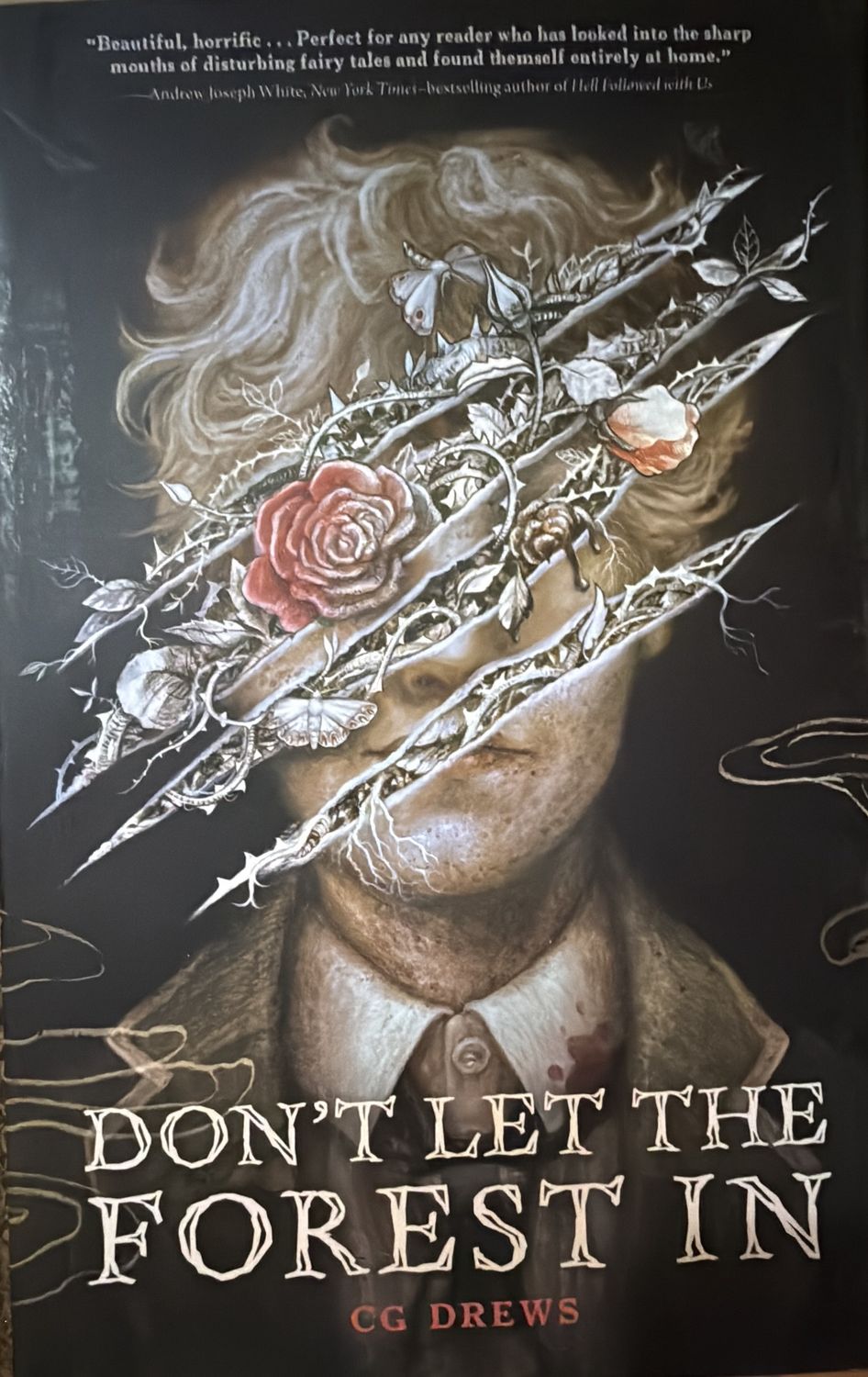 Don’t Let the Forest In