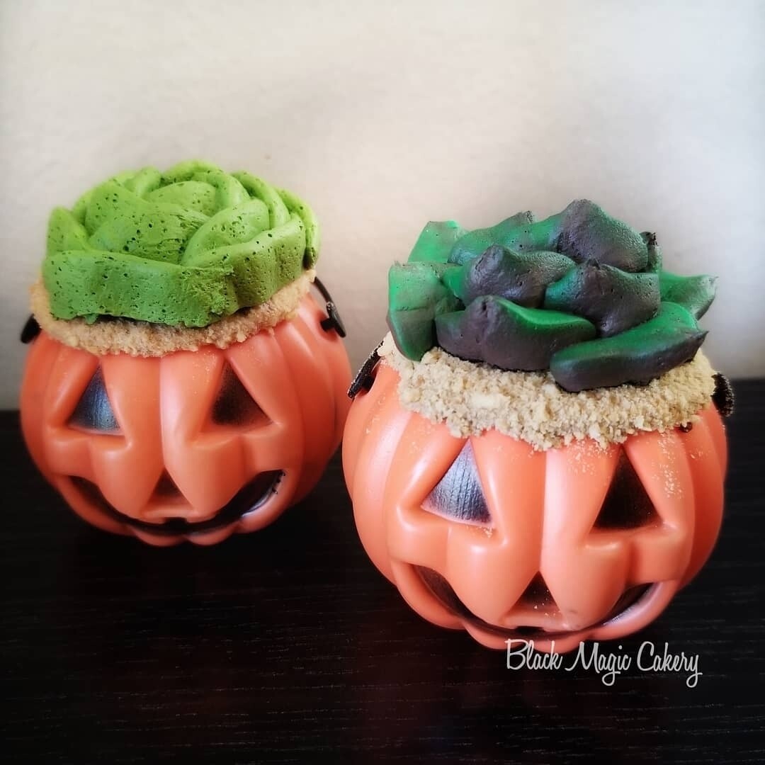 Mini succulent pumpkin pail CUPCAKE (chocolate) Mini succulent pumpkin pail CUPCAKE (chocolate)