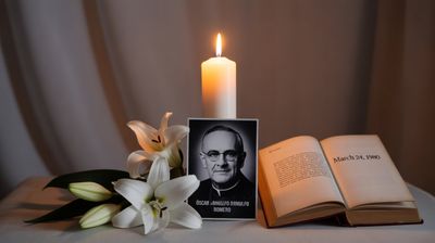 Międzynarodowy Dzień Prawa do Prawdy Dotyczącej Poważnych Naruszeń Praw Człowieka i Godności Ofiar - orientacja pozioma. Darmowa dostawa.*