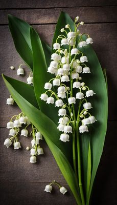 Święto Konwalii - orientacja pionowa. Darmowa dostawa.*