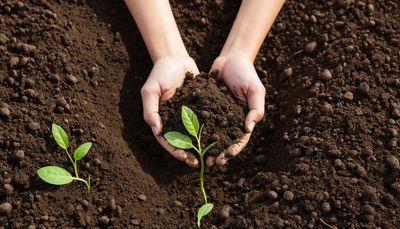 Światowy Dzień Gleby - orientacja pozioma. Darmowa dostawa.*