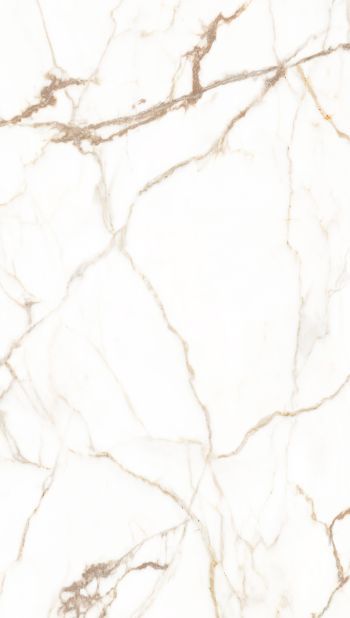 rocko panel bianco gold marble