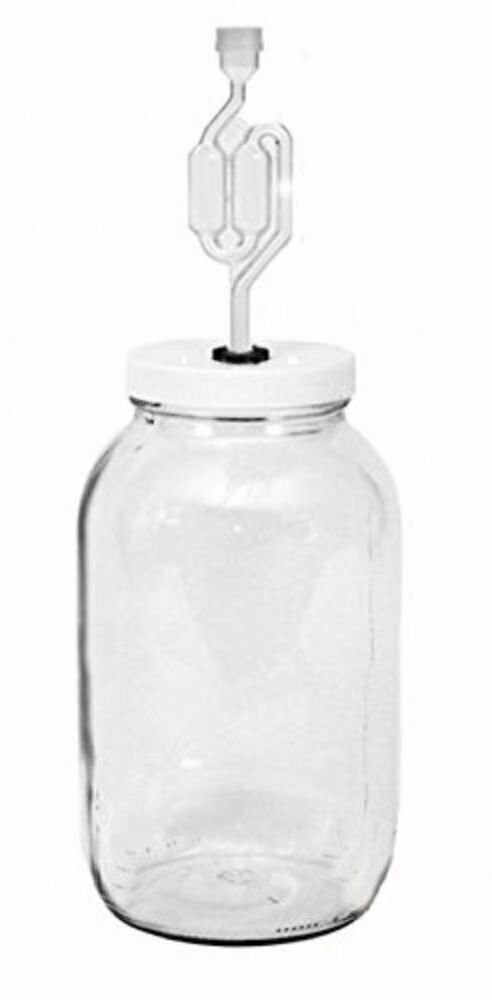Fermentador de vidrio de 1 galón  con tapa y airlock
