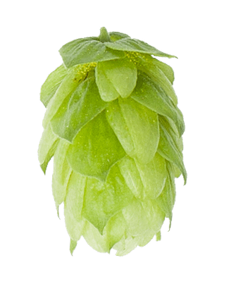 Hersbrucker lúpulo en pellets bolsa de 2 oz (56.70 gr)