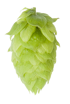 Cashmere lúpulo en pellets 2 onzas (58.6 gr)