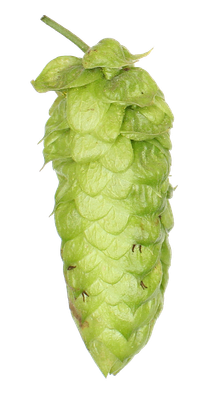 Bravo lúpulo en pellets 2 oz (56 gr)